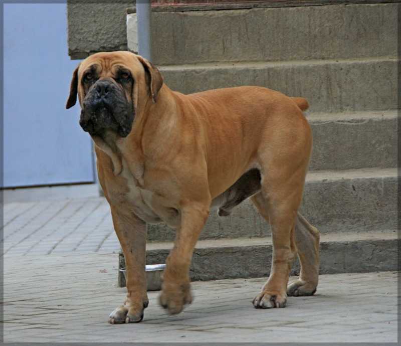 http://4put.ru/pictures/max/500/1538896.jpg