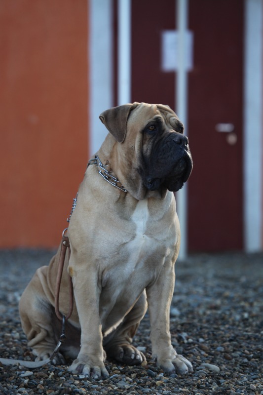 http://4put.ru/pictures/max/500/1538921.jpg