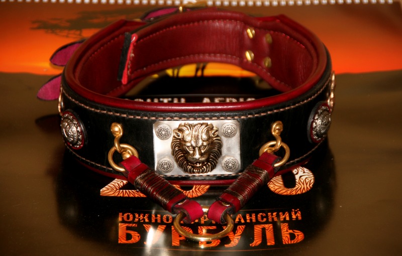 http://4put.ru/pictures/max/501/1541469.jpg