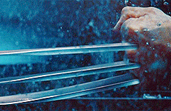 http://4put.ru/pictures/max/504/1549790.gif