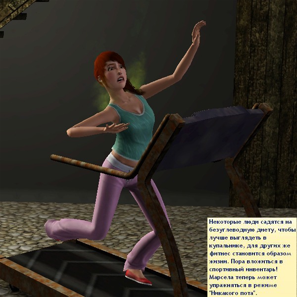 1551629.jpg