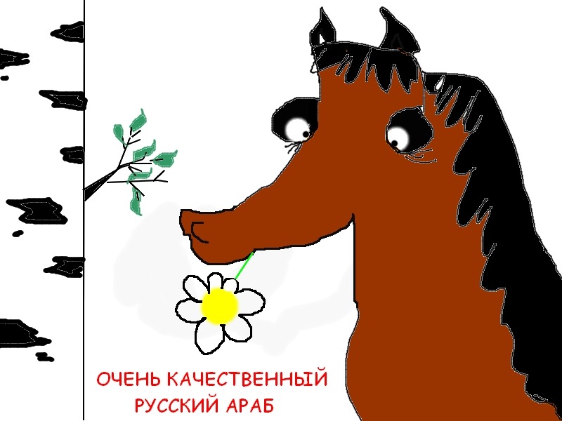 1552266.jpg
