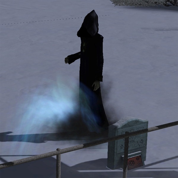 1554033.jpg