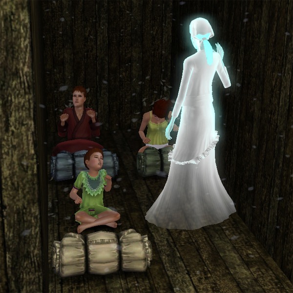 1554042.jpg