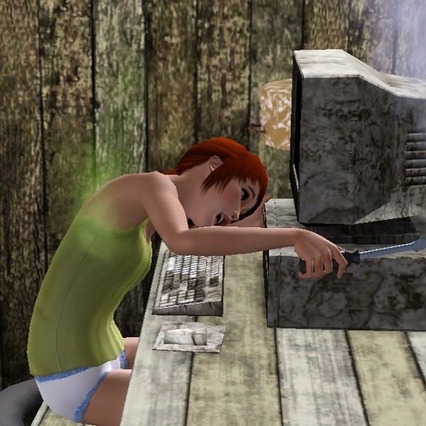 1554047.jpg