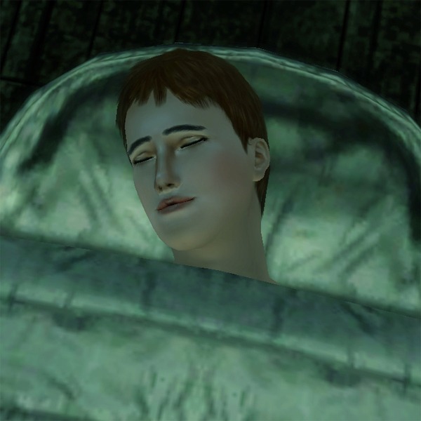 1555994.jpg