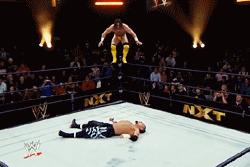 Adrian Neville SUCKS! ...