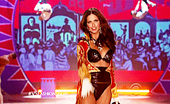 http://4put.ru/pictures/max/509/1566119.gif