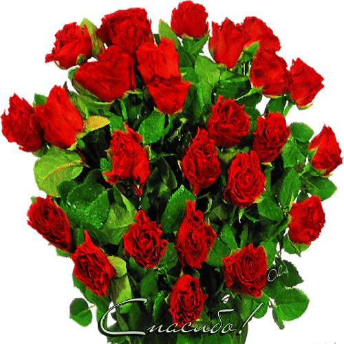 http://4put.ru/pictures/max/515/1584354.gif