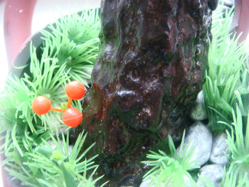 http://4put.ru/pictures/max/517/1588254.jpg