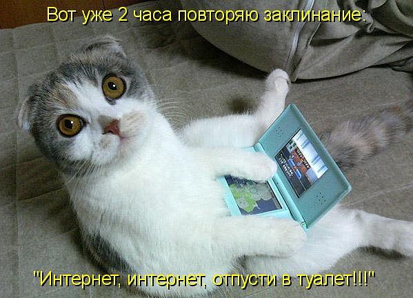 http://4put.ru/pictures/max/524/1611265.jpg