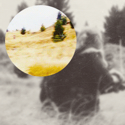 http://4put.ru/pictures/max/528/1622514.gif