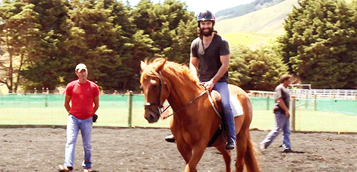 http://4put.ru/pictures/max/528/1622627.gif