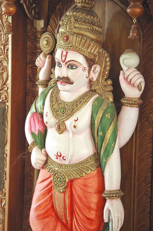 user posted image