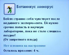 1691657.jpg