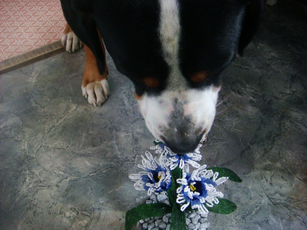 http://4put.ru/pictures/max/552/1696394.jpg