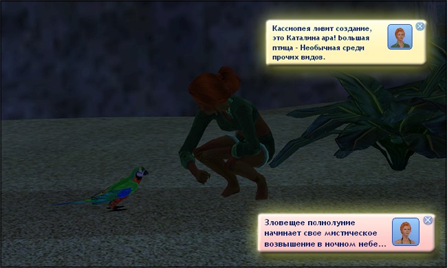 1709832.jpg