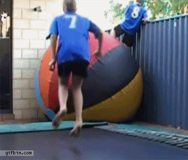 1715244.gif