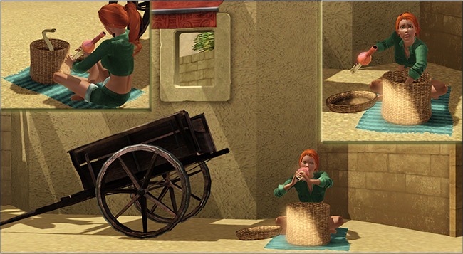 1719163.jpg
