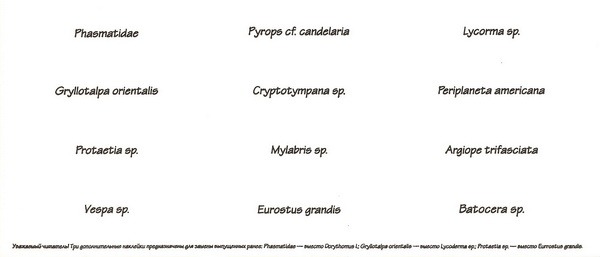 Насекомые №15 Цикада (Cryptotympana sp.) фото, обсуждение