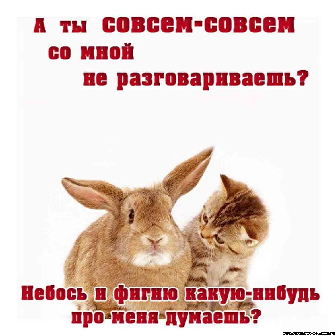 Почему девушка со мной не разговаривает Почему девушка со мной не разговаривает
