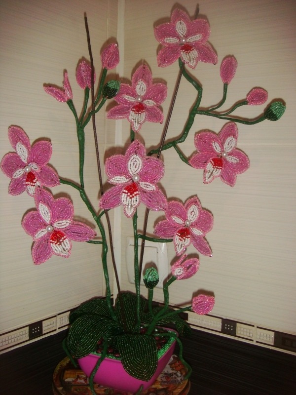 http://4put.ru/pictures/max/561/1726081.jpg