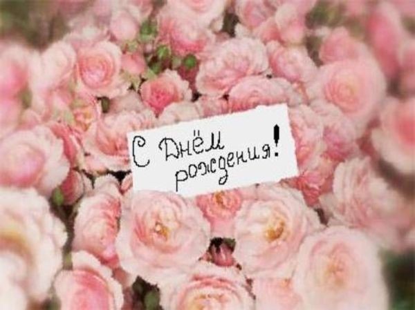 http://4put.ru/pictures/max/564/1734778.jpg