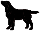1737880.gif