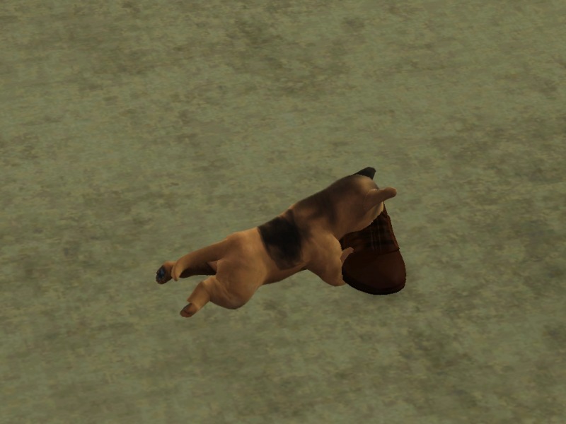 1746136.jpg