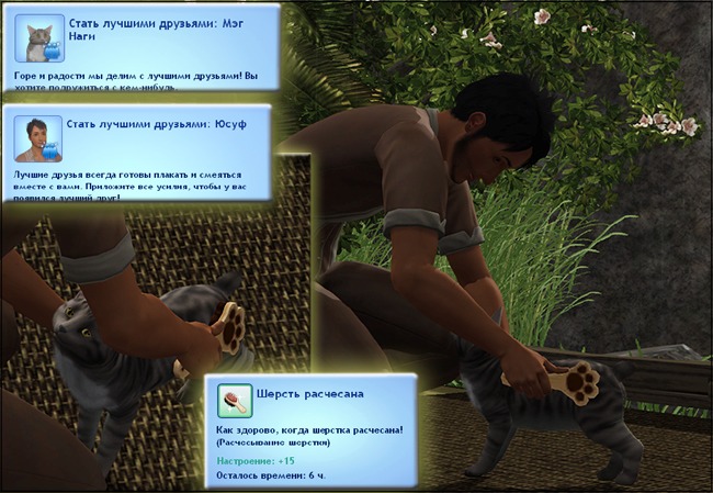 1752391.jpg