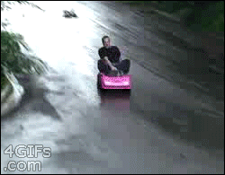 1808489.gif