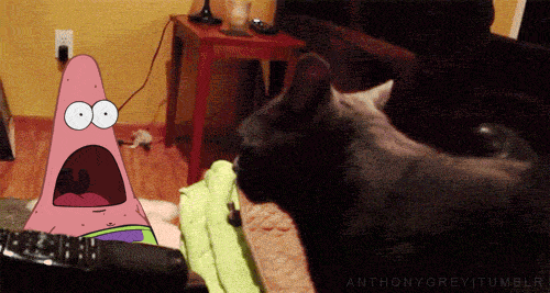 http://4put.ru/pictures/max/591/1817688.gif