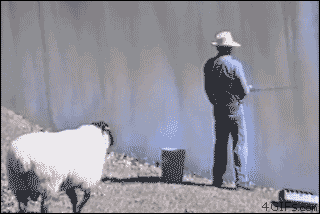 http://4put.ru/pictures/max/603/1852721.gif