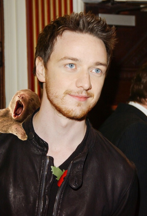 http://4put.ru/pictures/max/604/1858282.jpg