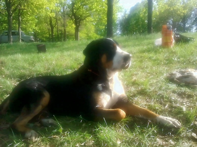 http://4put.ru/pictures/max/607/1866056.jpg