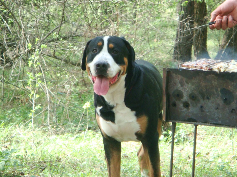 http://4put.ru/pictures/max/607/1866058.jpg