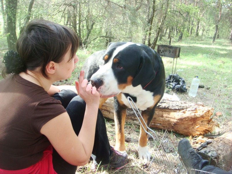 http://4put.ru/pictures/max/607/1866067.jpg