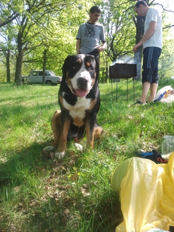 http://4put.ru/pictures/max/607/1866073.jpg