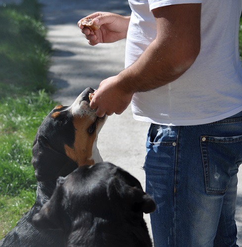 http://4put.ru/pictures/max/609/1871397.jpg