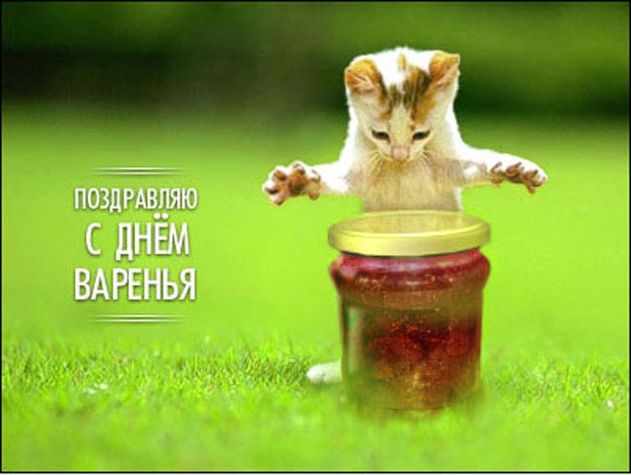 http://4put.ru/pictures/max/610/1875158.jpg