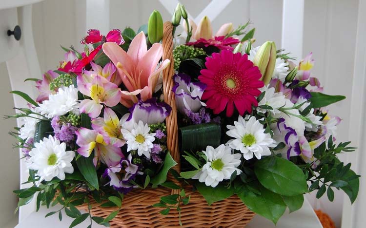 http://4put.ru/pictures/max/612/1880291.jpg