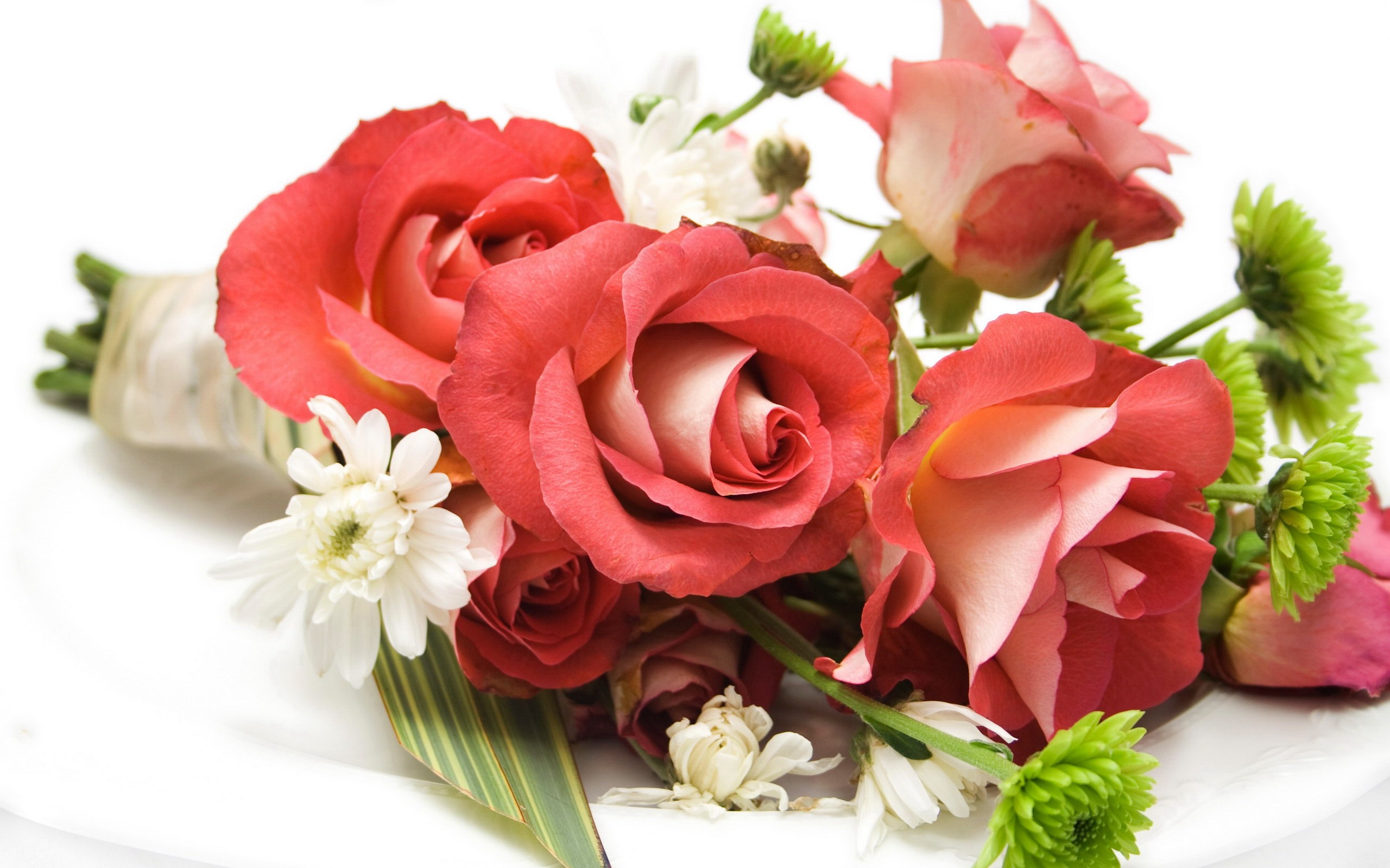 http://4put.ru/pictures/max/612/1880879.jpg