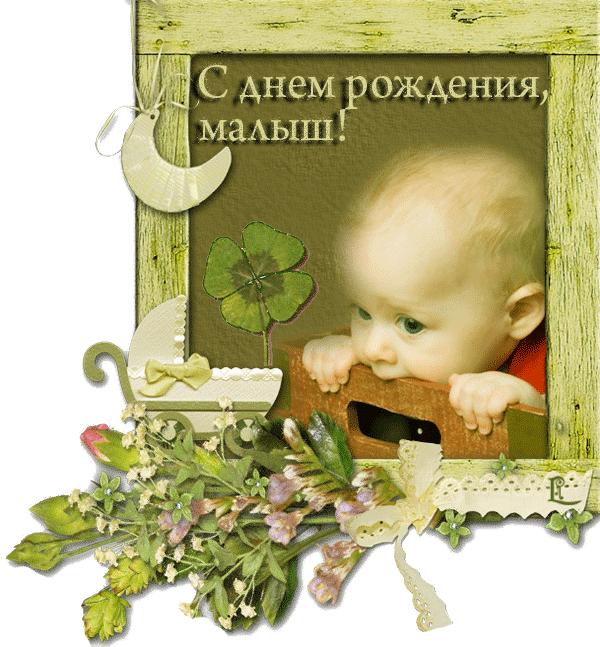 Когда корректируют брови Когда корректируют брови