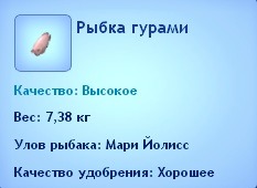 191943.jpg
