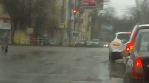 1916963.gif