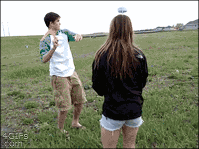 1916977.gif