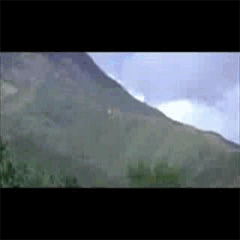 1916989.gif