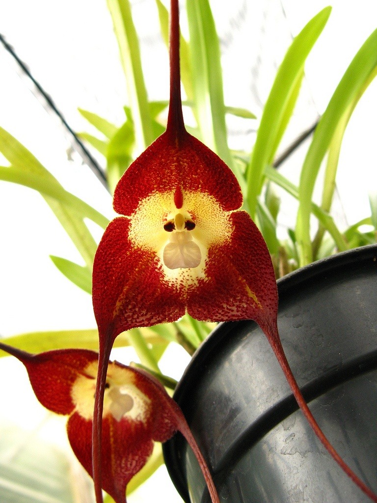 http://4put.ru/pictures/max/651/2000456.jpg height=537