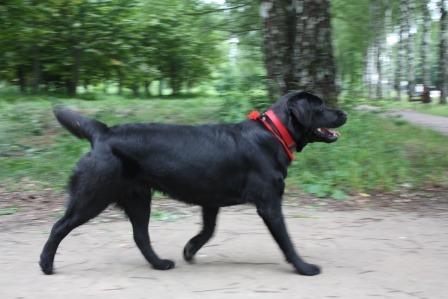 2004706.jpg