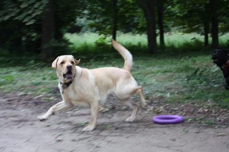 2005351.jpg